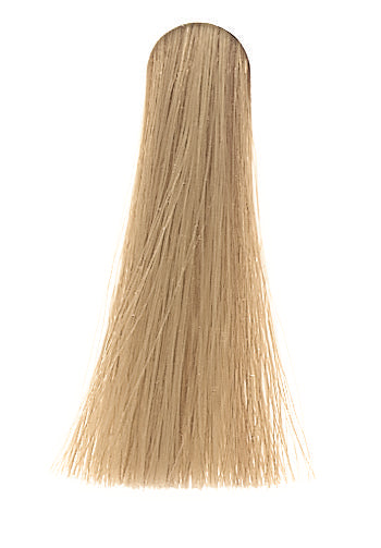360 Hair Permanent Hair Color Naturals 10.0