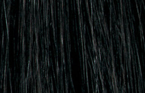 Bottle of Tressa Water Colors BB Demi Permanent Color 4N Dark Natural Brown