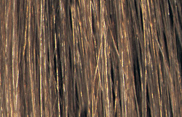 Bottle of Tressa Water Colors BB Demi Permanent Color 6N Medium Natural Brown