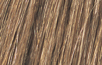 Bottle of Tressa Water Colors BB Demi Permanent Color 7N Dark Natural Blonde