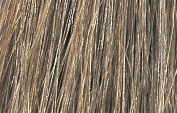 Bottle of Tressa Water Colors BB Demi Permanent Color 8A Medium Ash Blonde