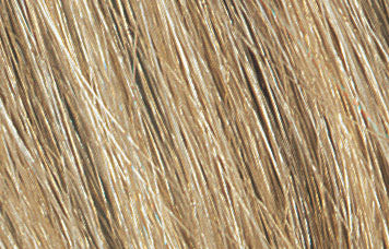 Bottle of Tressa Water Colors BB Demi Permanent Color 9A Light Ash Blonde