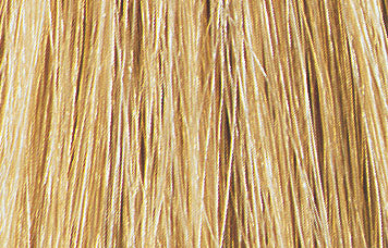 Bottle of Tressa Water Colors BB Demi Permanent Color 9GB Light Golden Beige Blonde