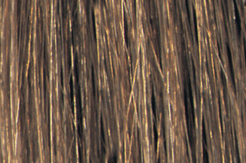 Bottle of Tressa Colourage Care 7N Dark Blonde