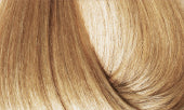 Bottle of BBCOS Earthia Color Beige