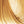 Bottle of BBCOS Earthia Color Golden